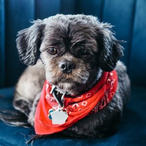 post-mars-image-10-opt